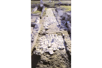 Strada Traiana degli scavi archeologici di Ordona